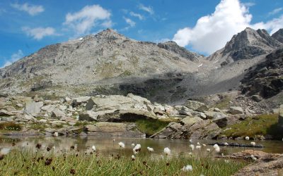 Parc national