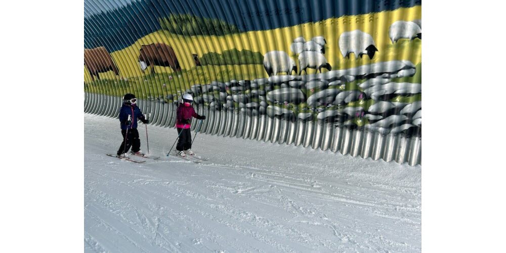 FresqueTunnel Val Cenis expose son pastoralisme - Fresque Tunnel Val Cenis